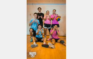 6ae0cda6c22f3_hoops10.jpg